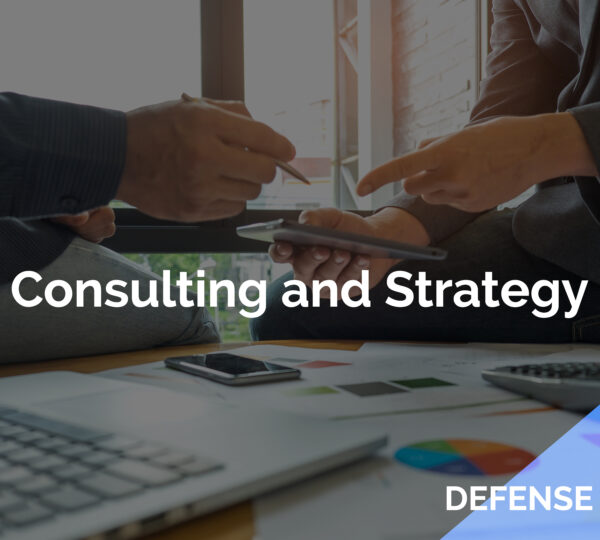 consulting-defense4